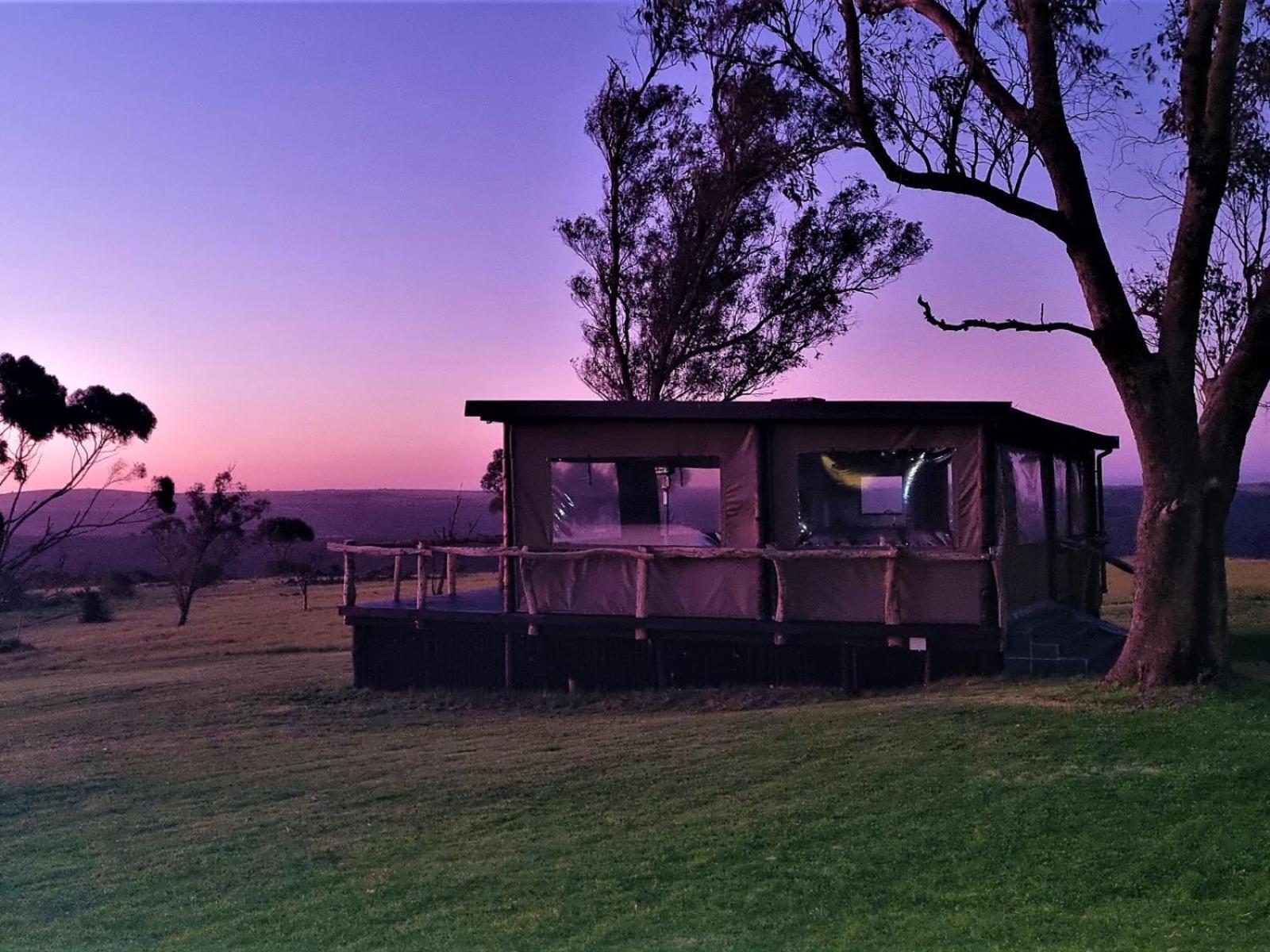 Umbono Private Game Lodge Alexandria  Exterior photo